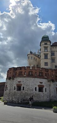 20260728_115135.jpg