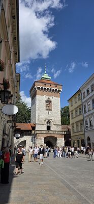 20260728_134233.jpg
