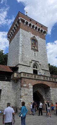 20260728_134849.jpg