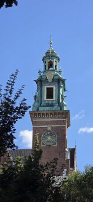 20260728_145545.jpg
