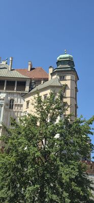 20260729_113118.jpg