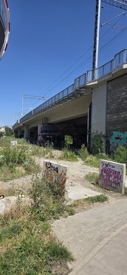 20260729_114353.jpg