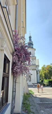 20260729_131545.jpg