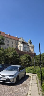 20260729_131736.jpg