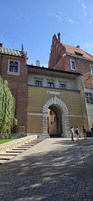 20260729_163914.jpg