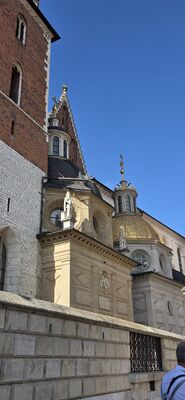 20260729_164245.jpg
