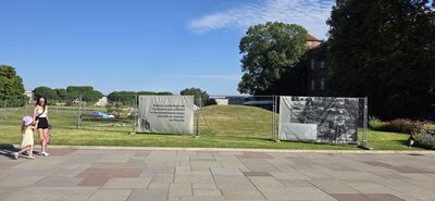 20260729_165815.jpg