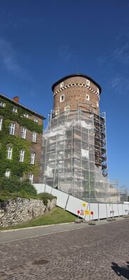 20260729_170243.jpg