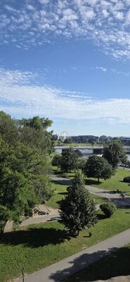 20260729_170344.jpg