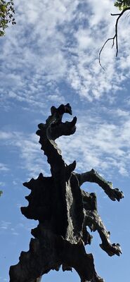 20260729_172915.jpg