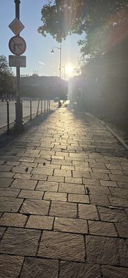 20260729_192627.jpg