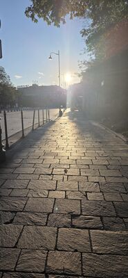 20260729_192631.jpg