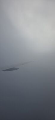 20260731_012557.jpg