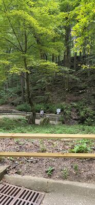 20260827_110800.jpg