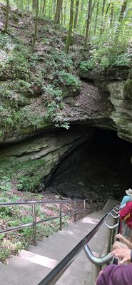 20260827_111522.jpg