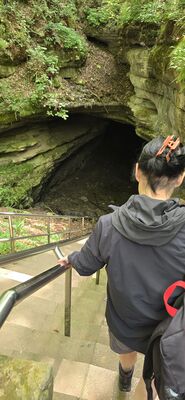 20260827_111525.jpg