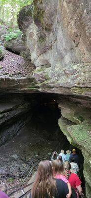 20260827_111540.jpg