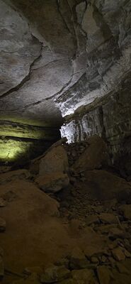 20260827_120510.jpg