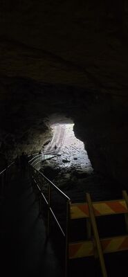 20260827_120903.jpg