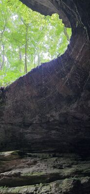 20260827_121021.jpg