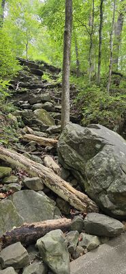 20260827_121450.jpg