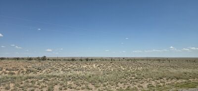 20260830_131359.jpg