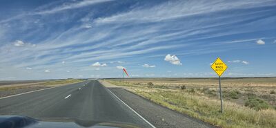 20260830_133245.jpg