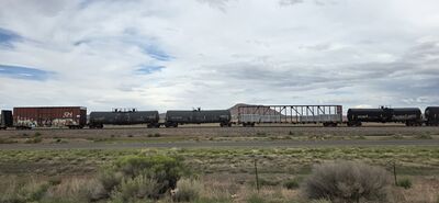 20260830_164251.jpg