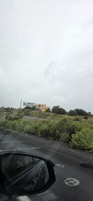 20260831_100356.jpg