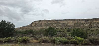 20260831_105421.jpg