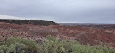20260831_110609.jpg