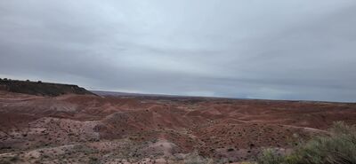 20260831_110728.jpg