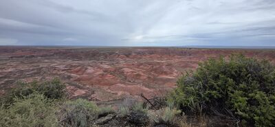 20260831_111541.jpg