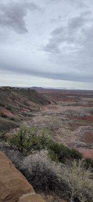 20260831_112057.jpg