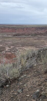 20260831_112846.jpg
