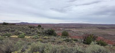 20260831_113708.jpg