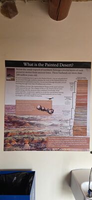 20260831_114037.jpg