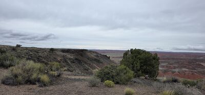 20260831_115700.jpg