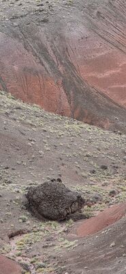 20260831_120406.jpg