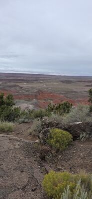 20260831_120736.jpg