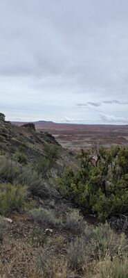 20260831_120749.jpg