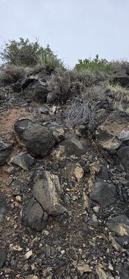 20260831_120912.jpg