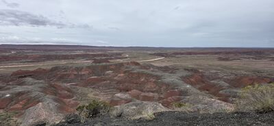 20260831_121704.jpg