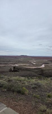 20260831_122312.jpg