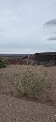20260831_123051.jpg