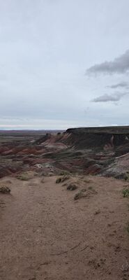20260831_123126 (2).jpg
