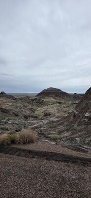 20260831_125758.jpg