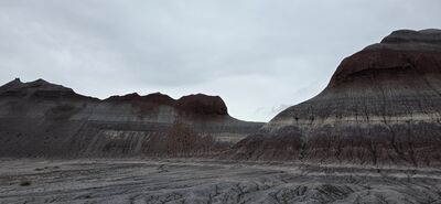 20260831_125908.jpg