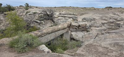 20260831_130842 agate bridge.jpg