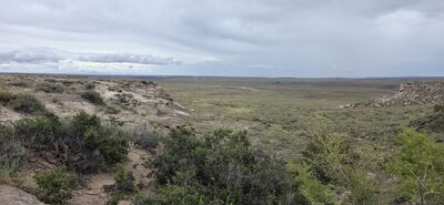 20260831_130901.jpg